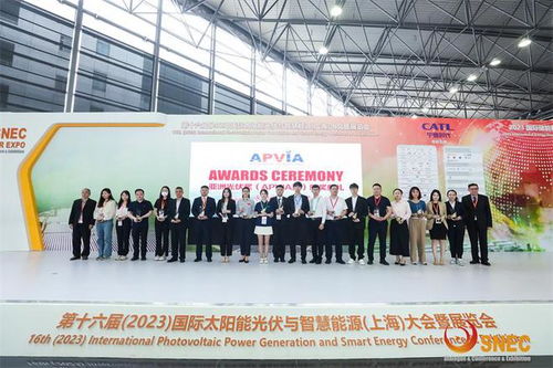 雙良2023SNEC光伏展圓滿落幕，連獲三項大獎?wù)蔑@科技實力
